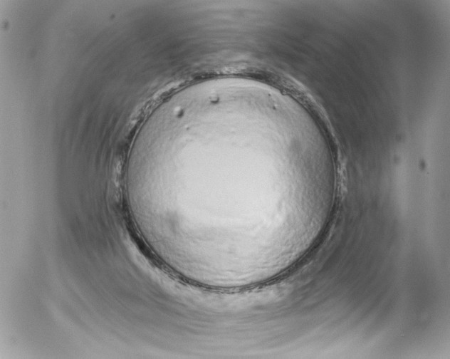 X0000052540018200507221437