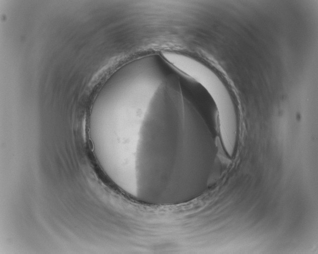 X0000052540019200507221437