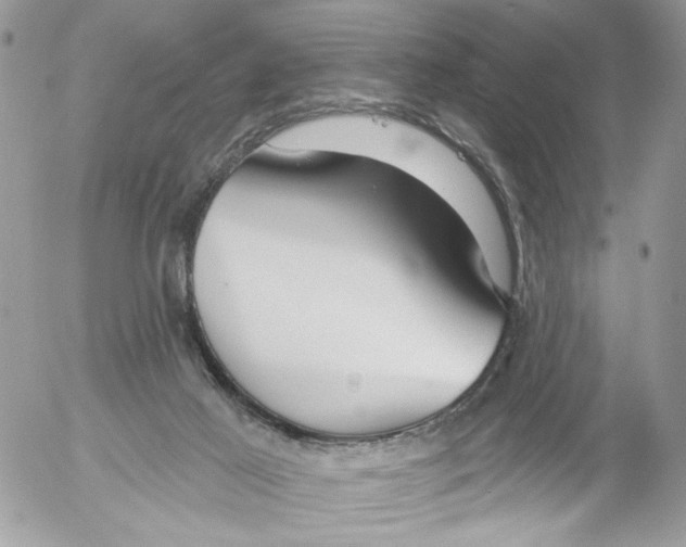 X0000052540021200507221437