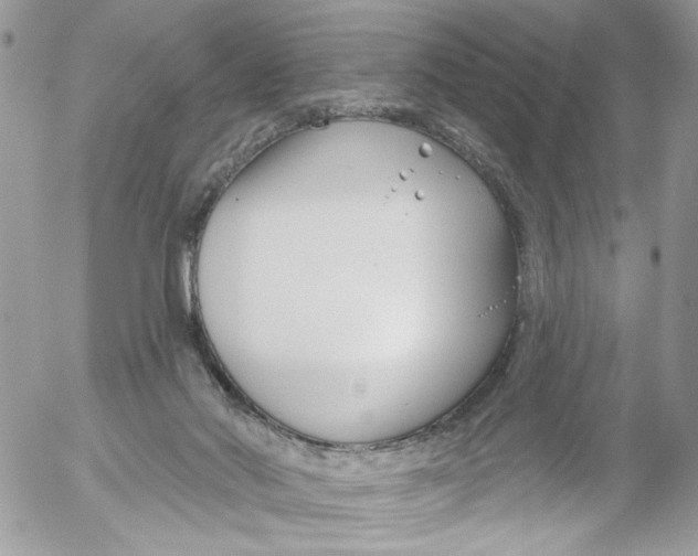 X0000052540022200507221437