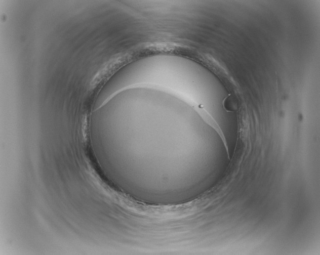 X0000052540023200507221437