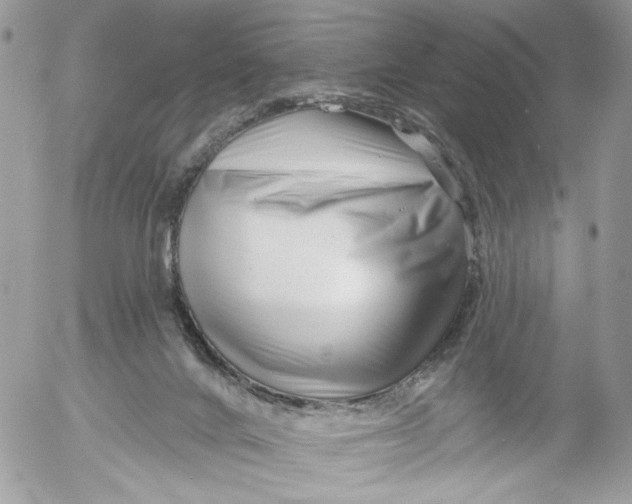 X0000052540024200507221437