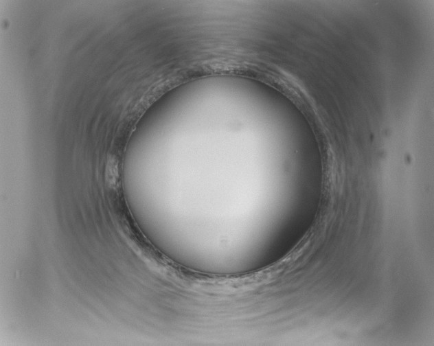 X0000052540025200507221437