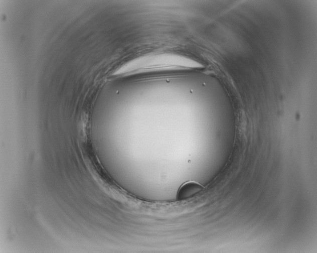 X0000052540026200507221437