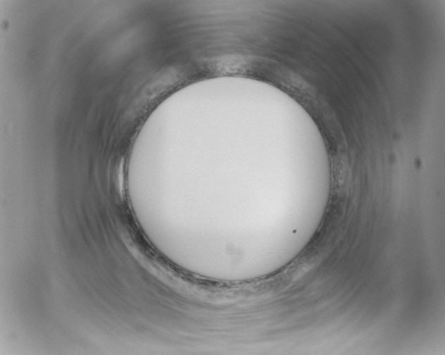 X0000052540028200507221437