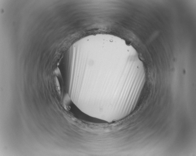 X0000052540029200507221437