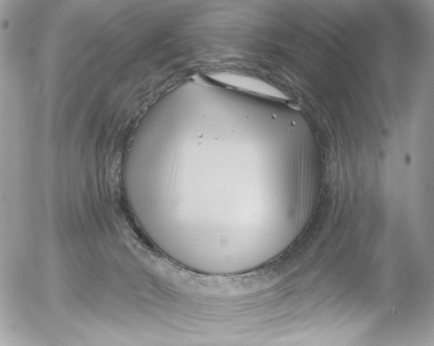 X0000052540030200507221437