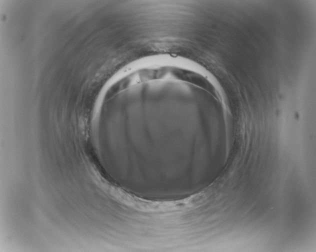 X0000052540031200507221437