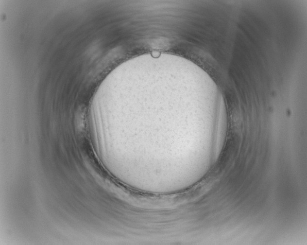 X0000052540032200507221437