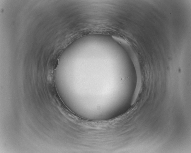 X0000052540033200507221437