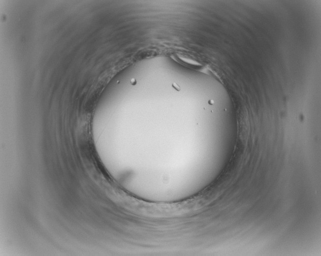 X0000052540034200507221437