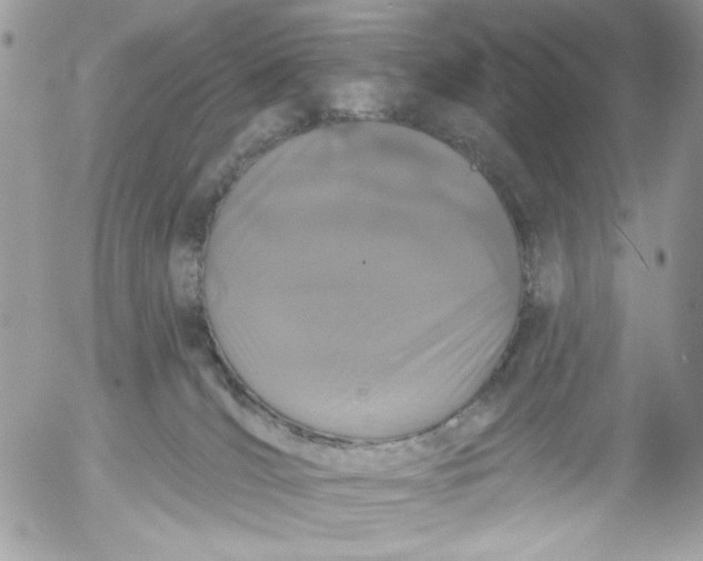 X0000052540036200507221437