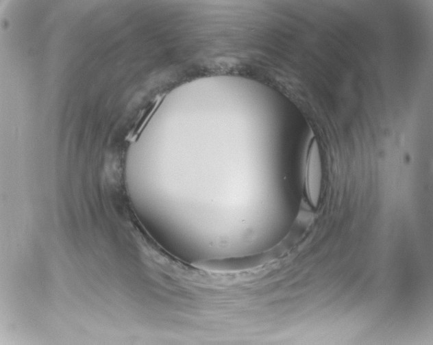 X0000052540037200507221437