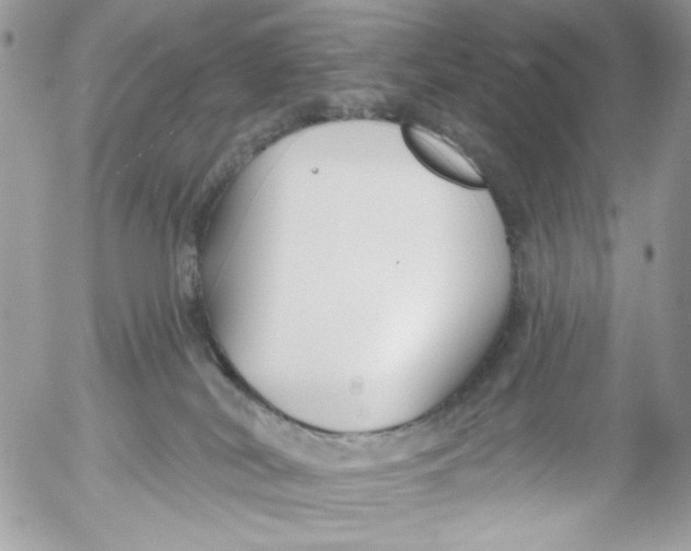 X0000052540038200507221437