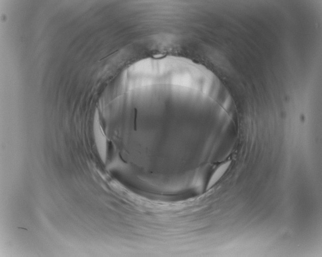 X0000052540039200507221437