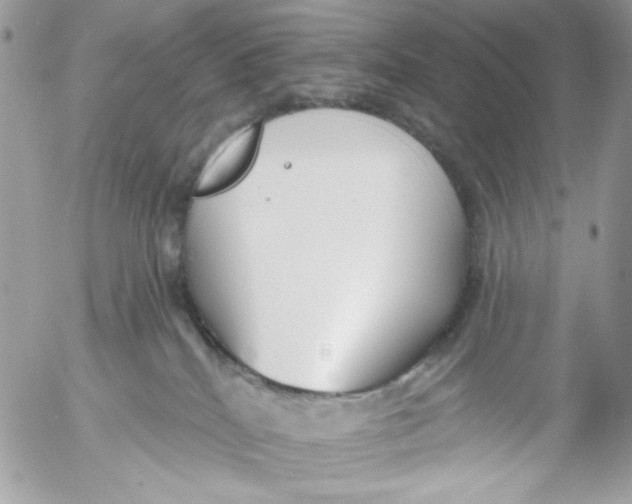 X0000052540040200507221437