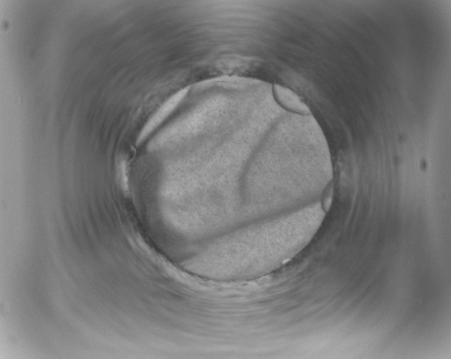 X0000052540042200507221437