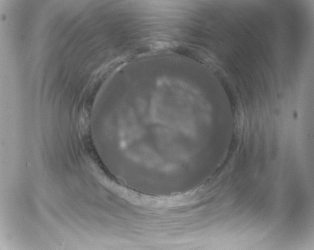 X0000052540043200507221437