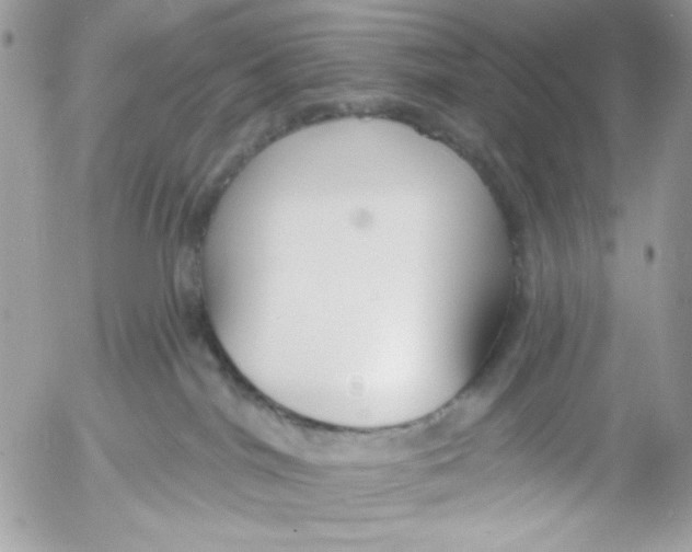 X0000052540044200507221437