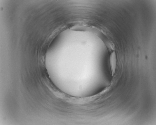 X0000052540045200507221437