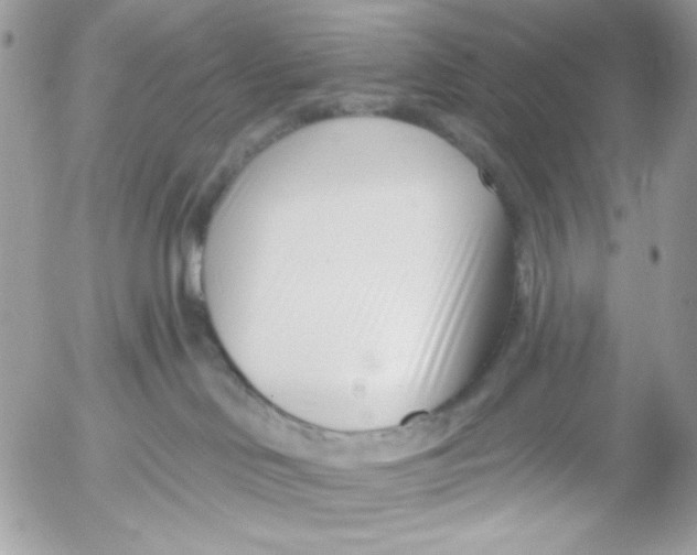 X0000052540046200507221437