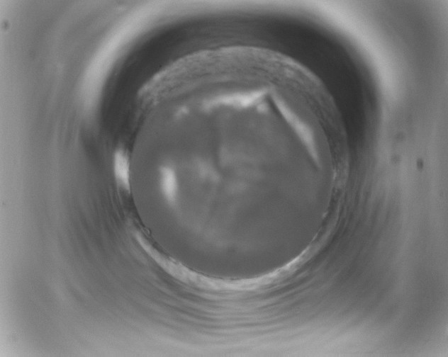 X0000052540047200507221437