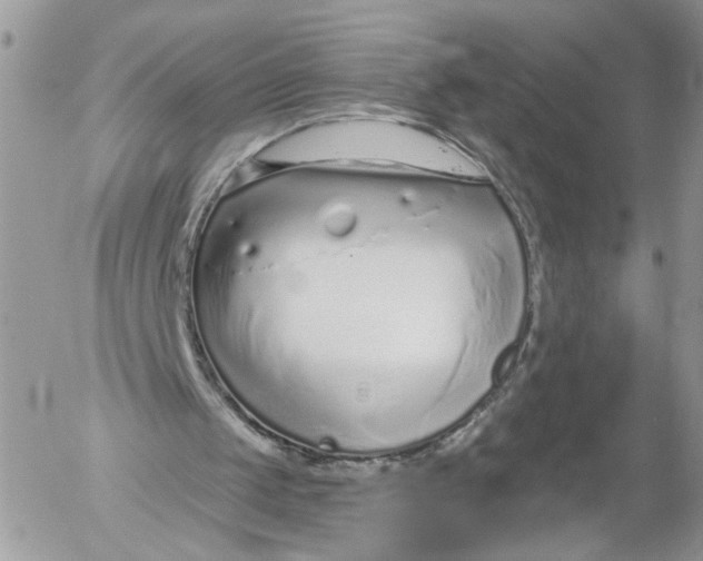 X0000052540049200507221436