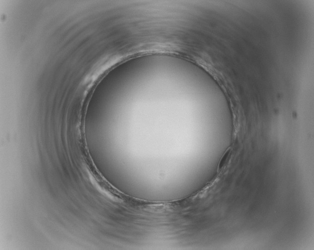 X0000052540050200507221436