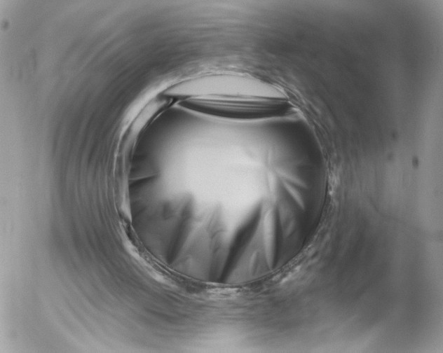 X0000052540052200507221436