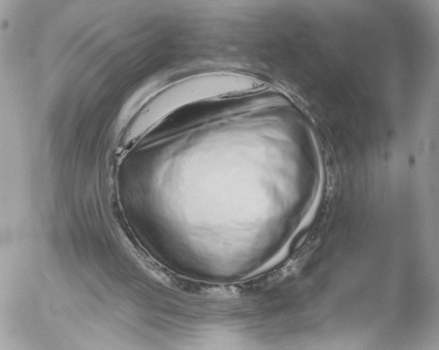 X0000052540053200507221436