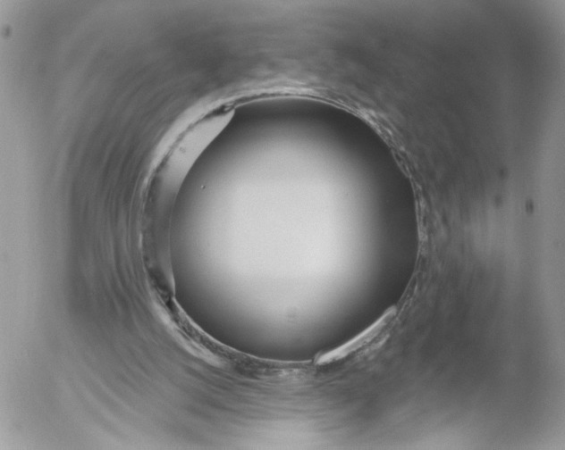 X0000052540056200507221436