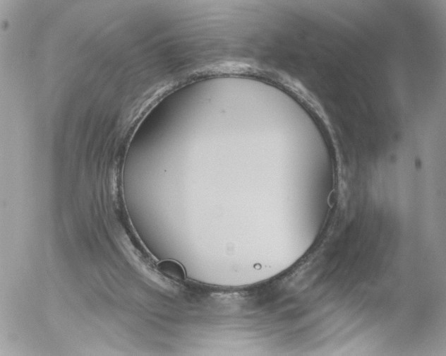 X0000052540057200507221436