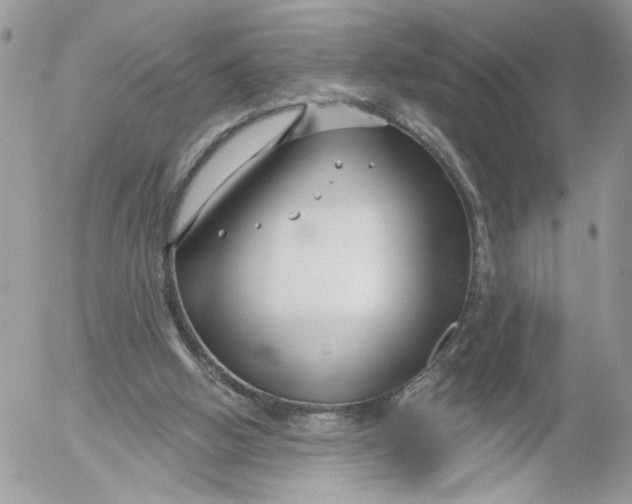 X0000052540058200507221436