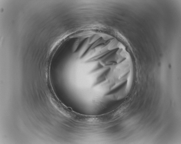 X0000052540059200507221436