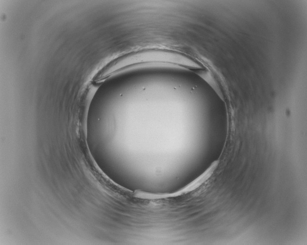 X0000052540060200507221436