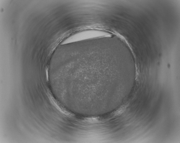 X0000052540061200507221436