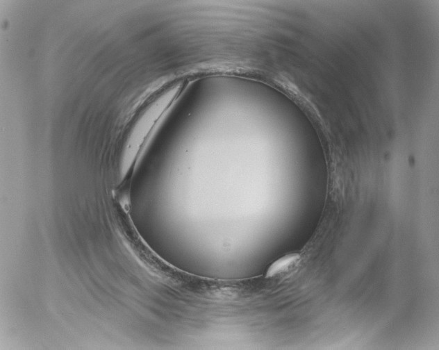 X0000052540062200507221436