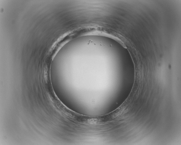 X0000052540064200507221436