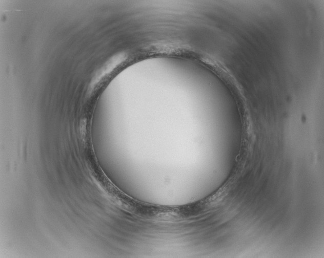 X0000052540066200507221436