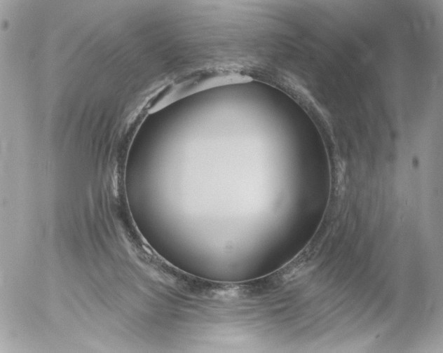 X0000052540068200507221436