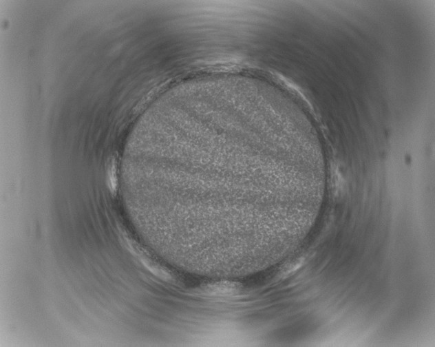 X0000052540069200507221436