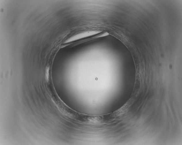 X0000052540070200507221436