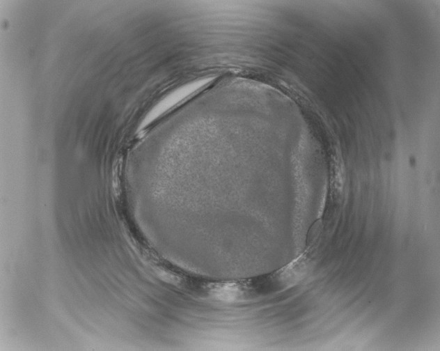 X0000052540074200507221436