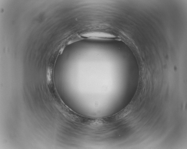 X0000052540075200507221436