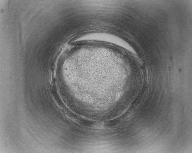 X0000052540076200507221436