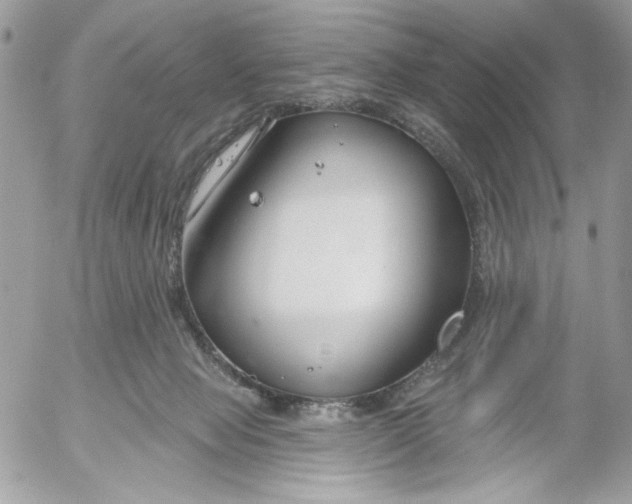 X0000052540077200507221436