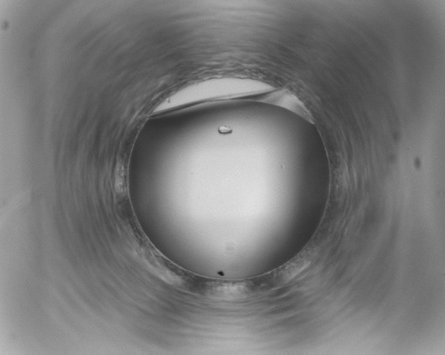 X0000052540081200507221436