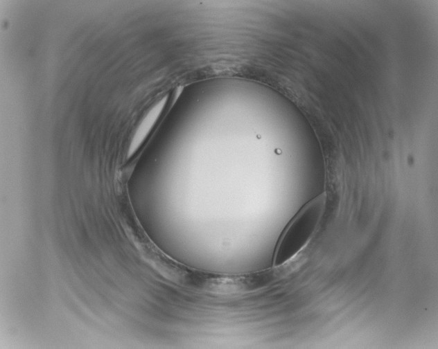 X0000052540082200507221436