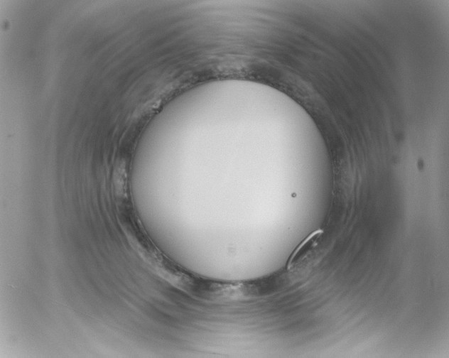 X0000052540083200507221436