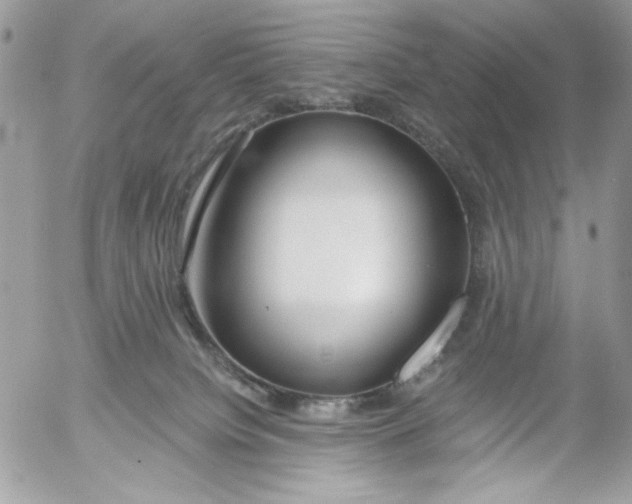 X0000052540084200507221436